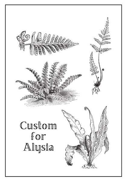 Custom for Alysia